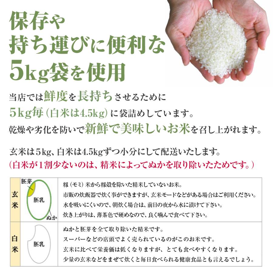 ミルキークイーン ミルキープリンセス 令和6年秋田県産 玄米30kg ミルキークイーン ミルキープリンセス 令和6年秋田県産 玄米30kg