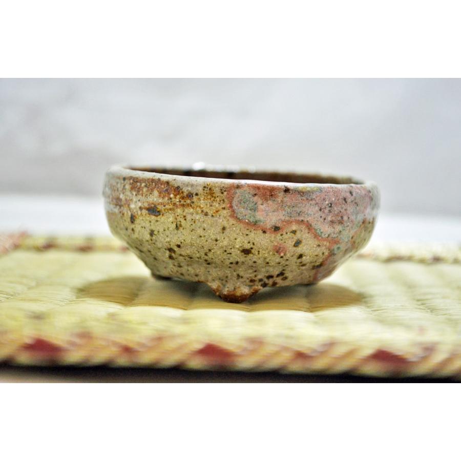 極上 ミニ 豆盆栽鉢 和鉢 作家鉢 落款有 浅丸鉢 2 5号 現品 手のひら盆栽 もみじの森 通販 Yahoo ショッピング