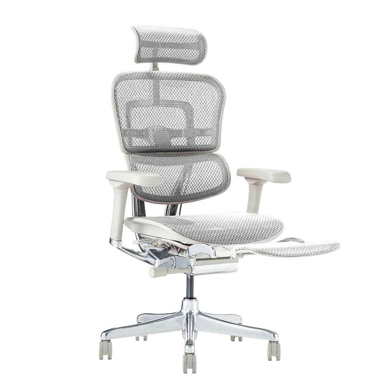 関家具 エルゴヒューマン2 プロ オットマン内蔵型 EHP2-LPL-DR 