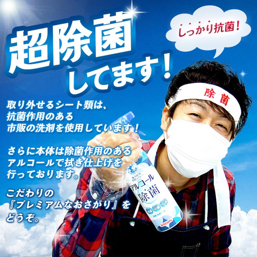 綺麗 バウンサー ベビービョルン バウンサーバランスソフト メッシュ BABYBJORN 1カ月から2歳 中古バウンサー【B.綺麗】【中古】_8