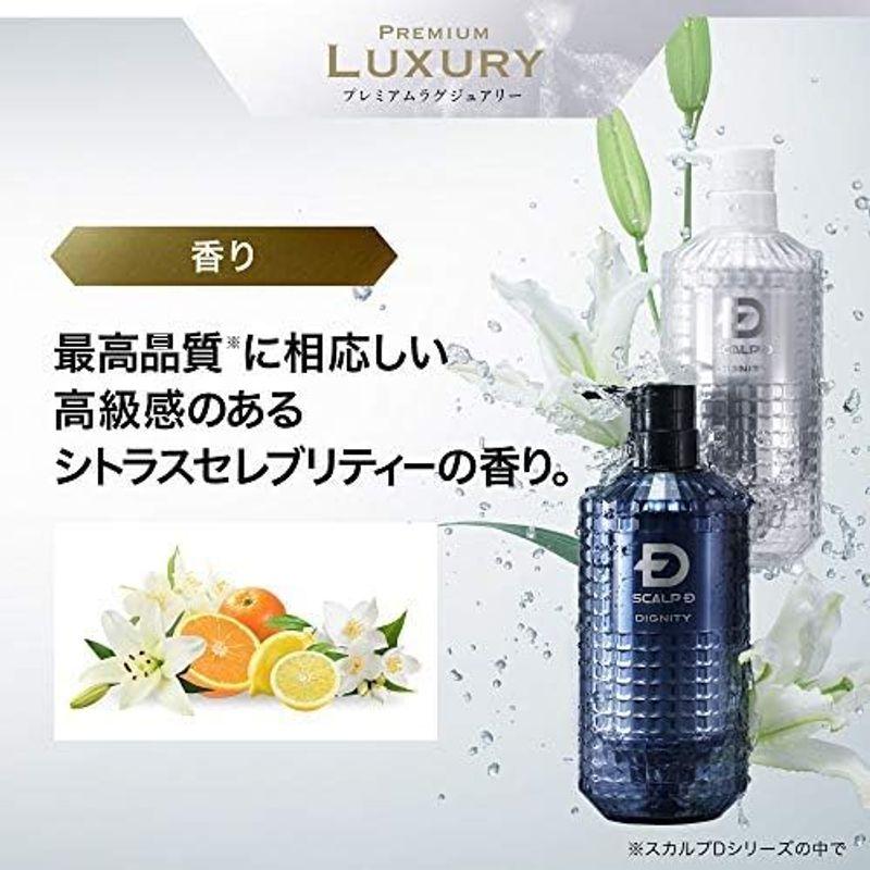 高知インター店】 アンファー (ANGFA) スカルプD ディグニティ スカルプ 350ml ザ シャンプーコンディショナーセット スカルプD高品位シャンプ  トリートメント、ヘアパック