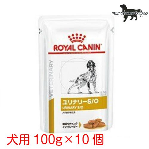 大注目 ロイヤルカナン ユリナリー S O パウチ 犬用 100g×10個 送料