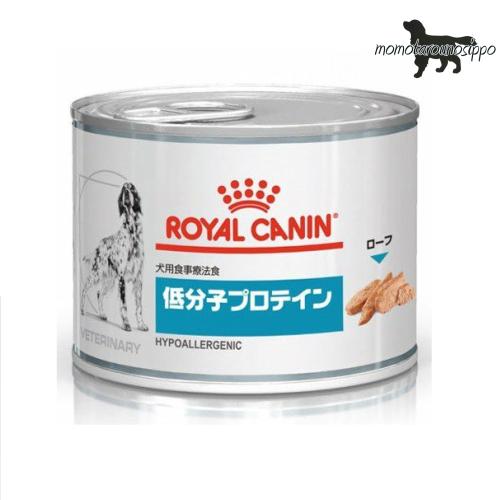 ロイヤルカナン 犬用 低分子プロテイン 200g×12缶 ウェット 缶 療法食