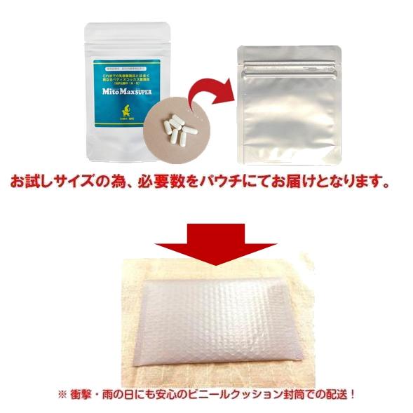 共立製薬 マイトマックス スーパー お試し 30粒 小型犬 猫用 送料無料