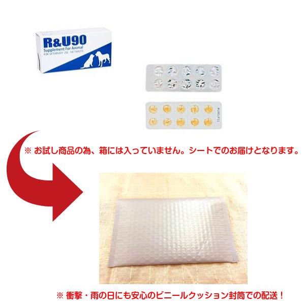 共立製薬 R&U90 犬用 10粒×3シート (30粒) 送料無料（ポスト投函便