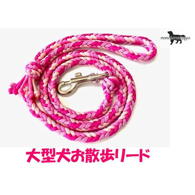 PARACORD LEAD パラシュートコード お散歩リード 大型犬 8本編み