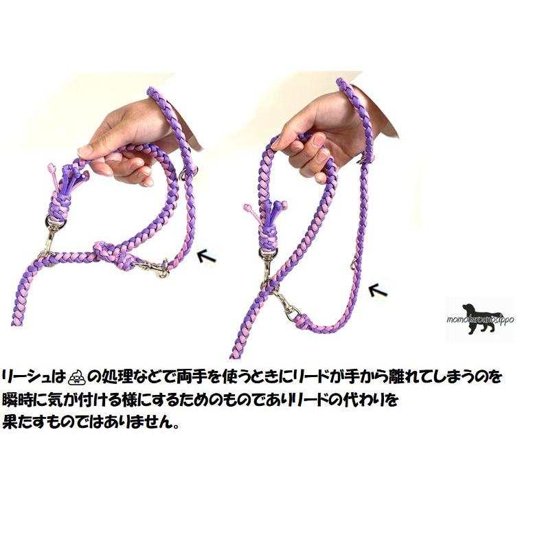 パラコードリード no.4 PARACORD LEASH パラシュートコード リーシュ（スタイリッシュ）4本丸