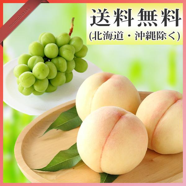 キズM玉 5.0kg+規格外1.0kg パッションフルーツ キズ多めM玉 5.0