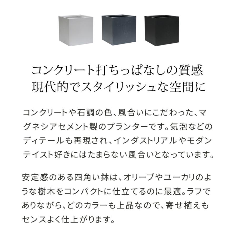 マグネシアプランター "TEXTURE"（テクスチャー） 角型50cm ブラック/グレー/ホワイト TEX-500C｜momoda｜03