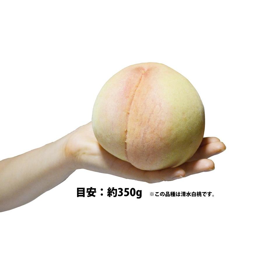 送料無料 モモ あら川の桃 日川白鳳 4kg箱 ギフト用 お中元 遅めの父