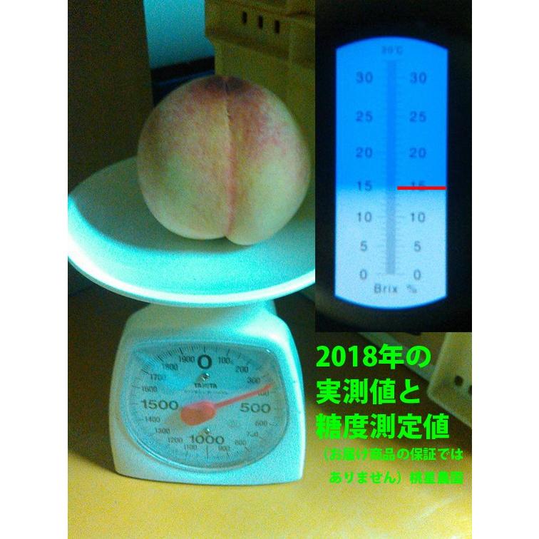 送料無料 モモ あら川の桃 日川白鳳 4kg箱 ギフト用 お中元 遅めの父