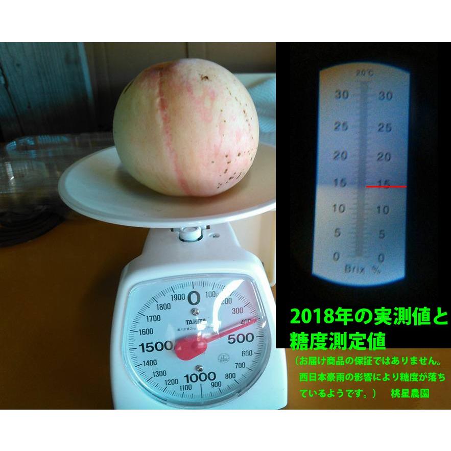 桃 もも 送料無料 モモ 白鳳 4kg箱 ギフト用 お中元 農家直送 産地