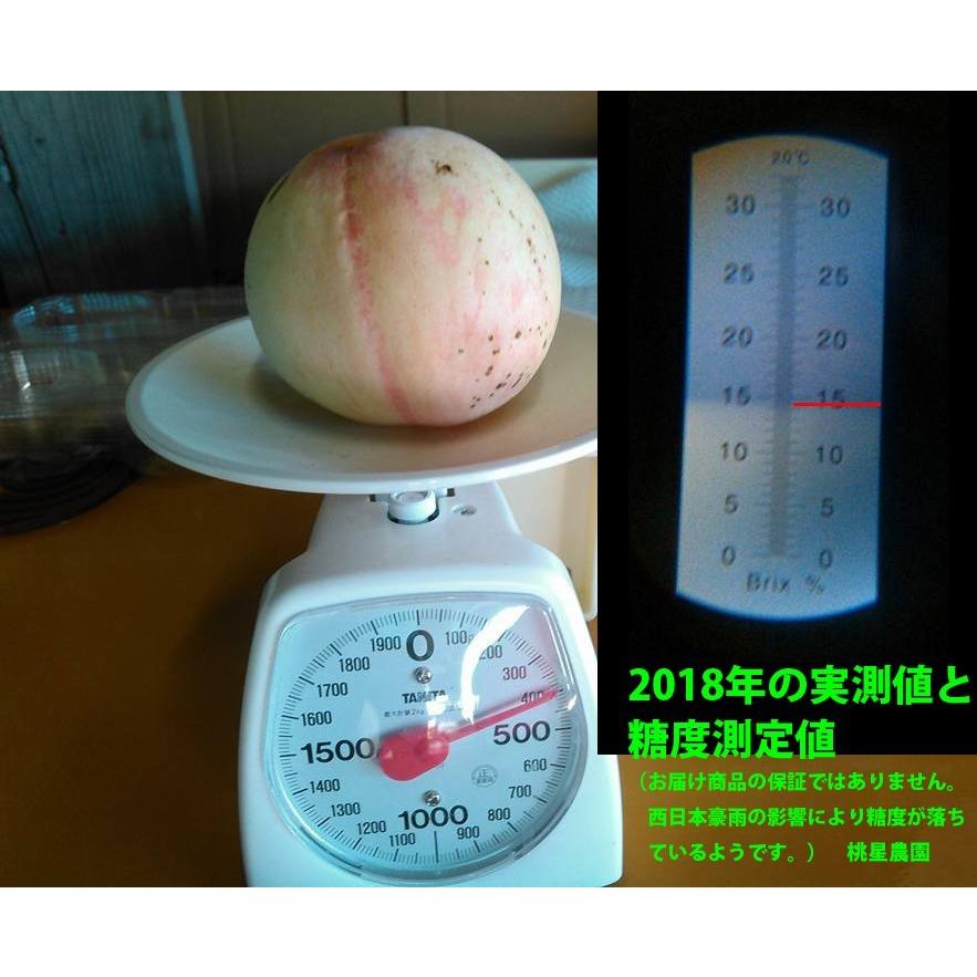 桃 もも 送料無料 ２kgギフト箱２箱セット モモ    白鳳 お中元  農家直送 産地直送 おいしいあら川の桃 桃星農園 あらかわの桃 光センサー糖度計の画像