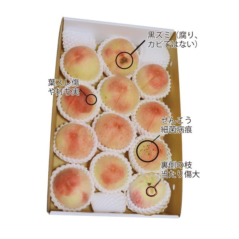 桃 もも 送料無料 モモ あらかわの桃 清水白桃 4kg箱 訳あり 桃星農園