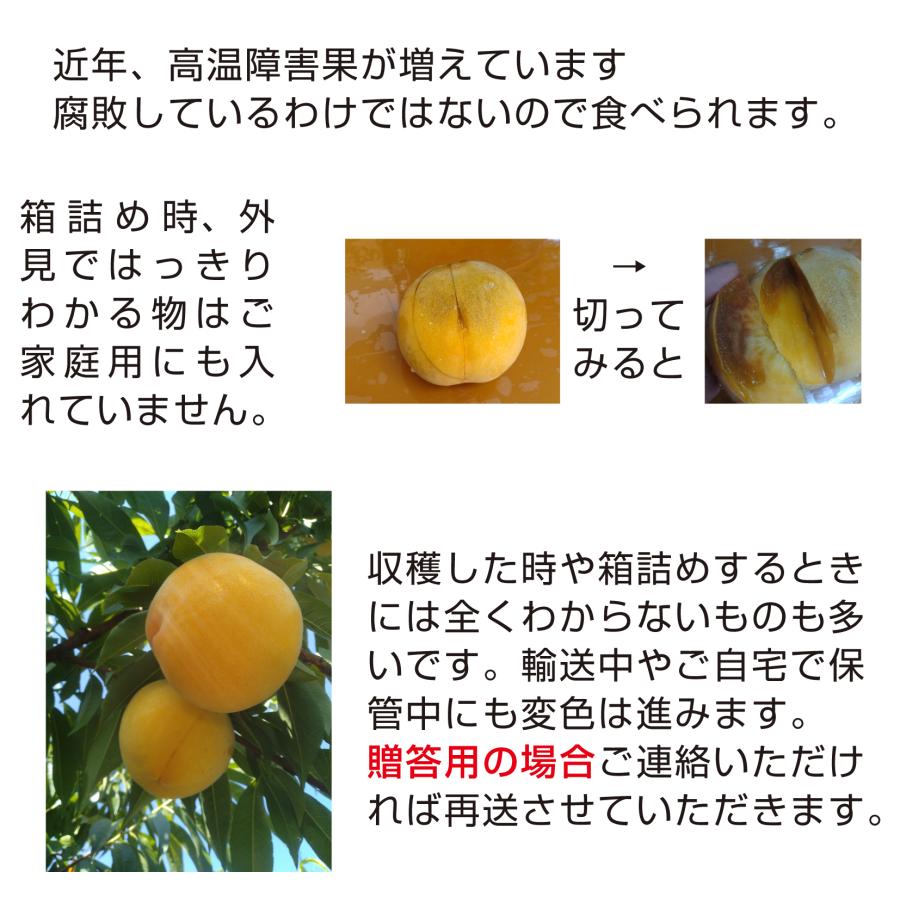 桃 もも 送料無料 モモ あらかわの桃 清水白桃 4kg箱 訳あり 桃星農園