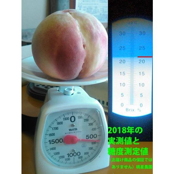 桃 もも 送料無料 ２kgギフト箱２箱セット モモ 桃  川中島白桃  お中元  農家直送 産地直送 桃星農園 あらかわの桃 光センサー糖度計の画像