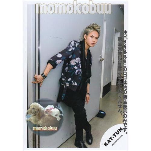 Kat Tun 公式生写真 上田竜也 Ka Ka Momokobuu Yahoo 店 通販 Yahoo ショッピング