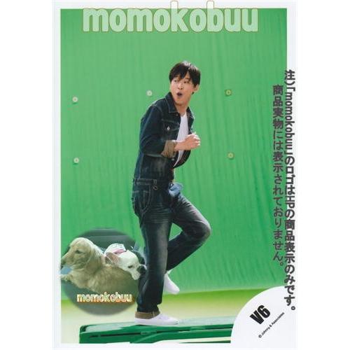 V6 公式生写真 坂本昌行 Vs Vs Momokobuu Yahoo 店 通販 Yahoo ショッピング