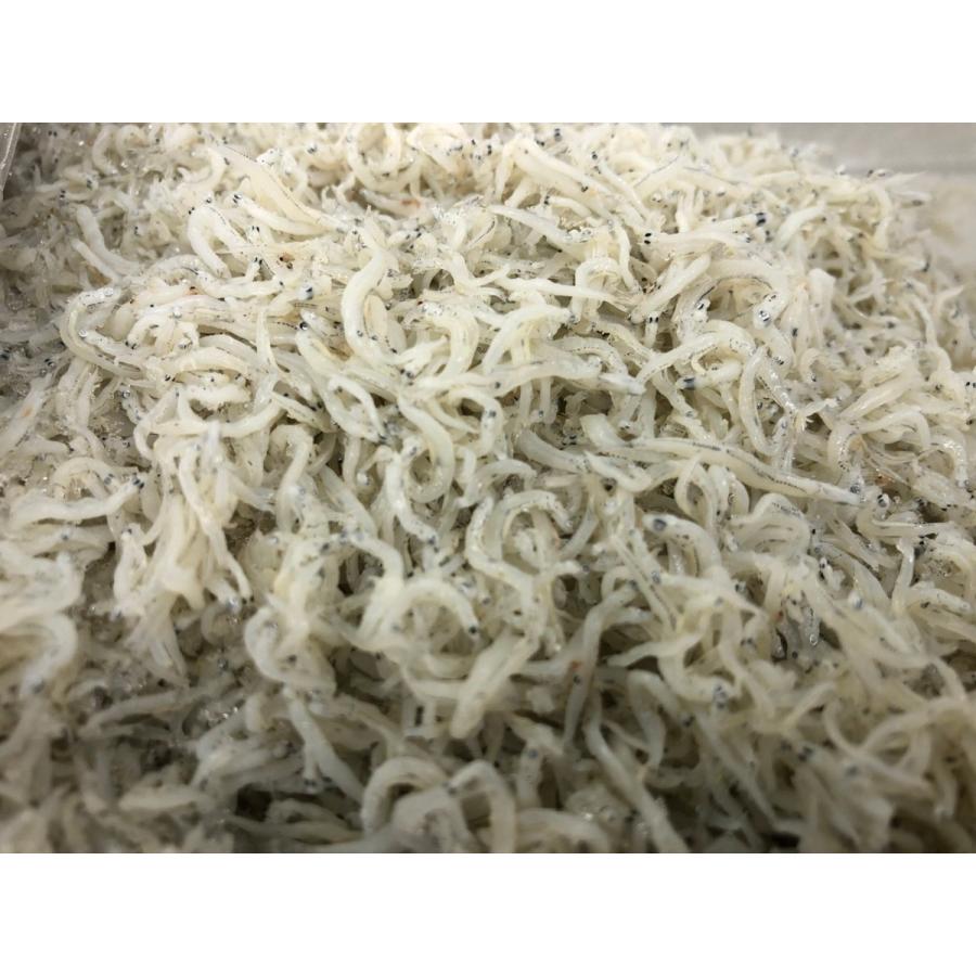 しらす干し 500g×2パック 1キロ 三重県答志島特産 （業務用・自宅用