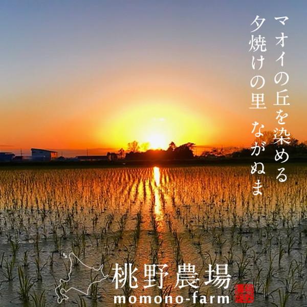 美味しいお米 献穀田産 3種［15kg］ゆめぴりか5kg＋ななつぼし5kg＋おぼろづき5kg 皇室献上米 最高位特A 北海道米 食べ比べ［春ギフト］_9
