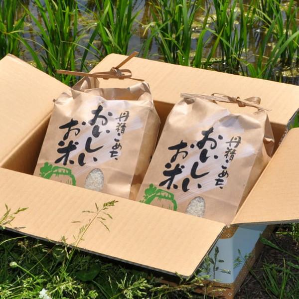 ゆめぴりか 美味しいお米 献穀田産 2種［4kg］ななつぼし2kg＋