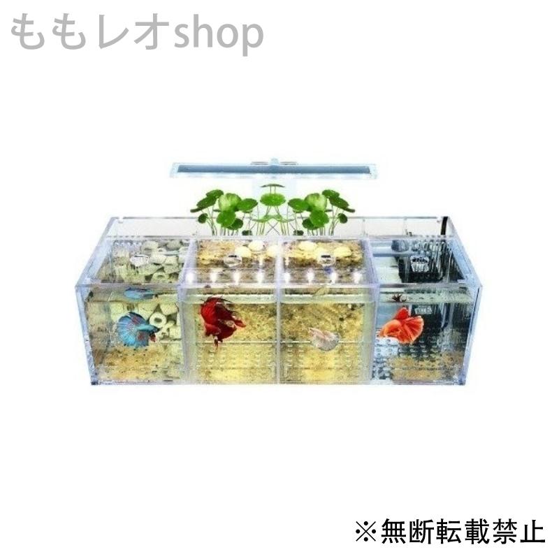 魚飼育用の 水槽 アクリル 自由な水ポンプ ペット ベタ Fimolux Com