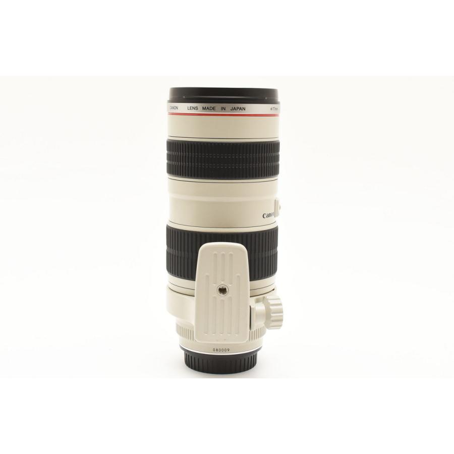 Canon EF 70-200mm F2.8 L USM キヤノン 望遠ズームレンズ : MOMO'S