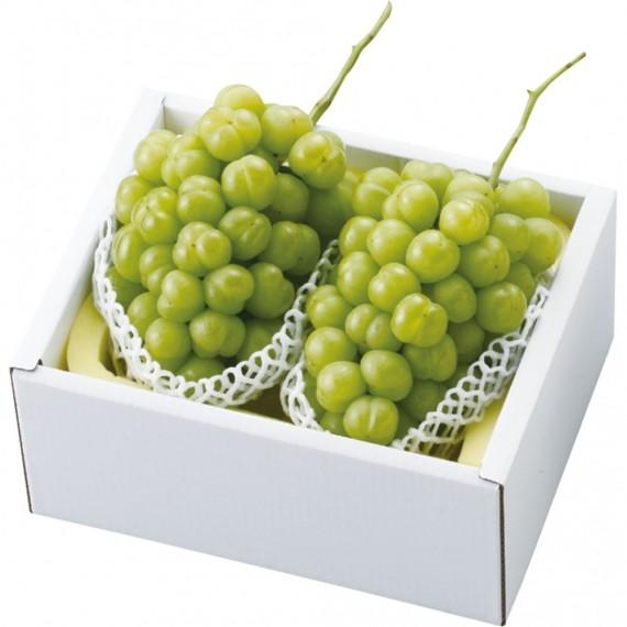 ぶどう 桃太郎ぶどう 【青秀】 2房(1.2kg)【送料無料※沖縄・北海道・別途￥1500】発送は8月中旬〜（季節商品の為発送時期が5日前後する事がございます。）