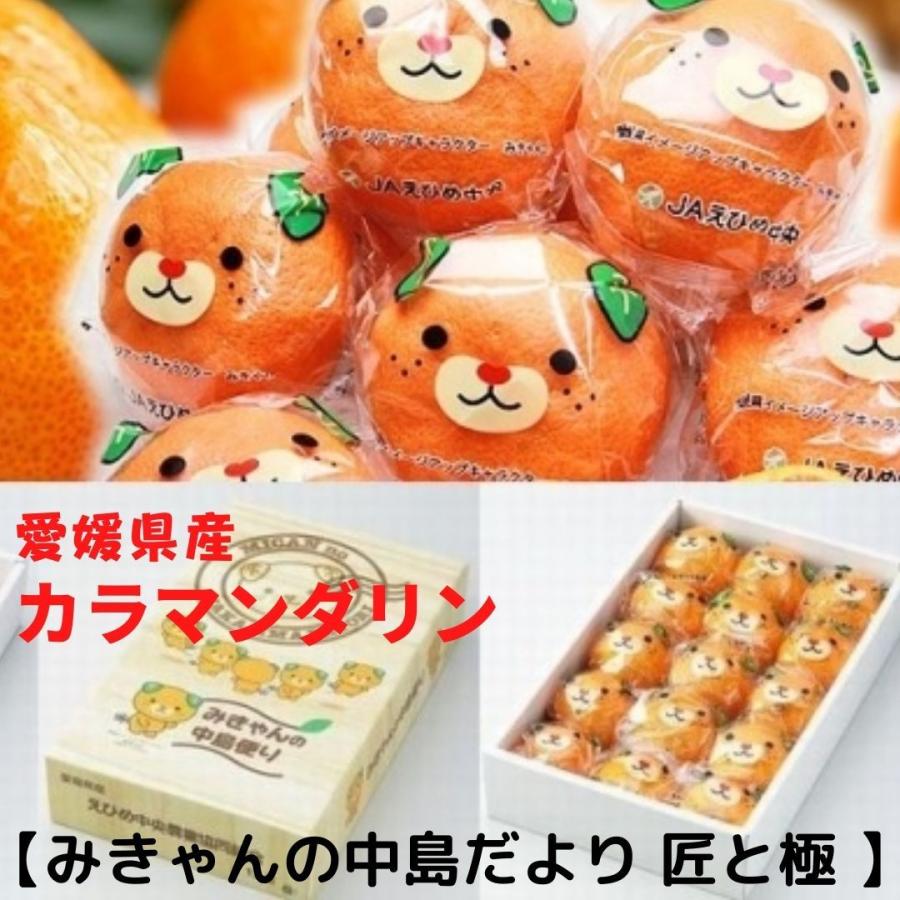 みかん カラマンダリン みきゃんの中島だより 匠と極 12玉 15玉 約1 5kg ディスカウント 蜜柑 愛媛県産 ミカン オレンジ風の温州春みかん ｊａえひめ中央