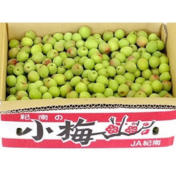 予約販売！小梅 白王 【秀品】 2Lサイズ 約4kg×2箱 和歌山県産【送料無料※但し北海道・沖縄　別途￥１５００】発送は5/15日〜6/10日