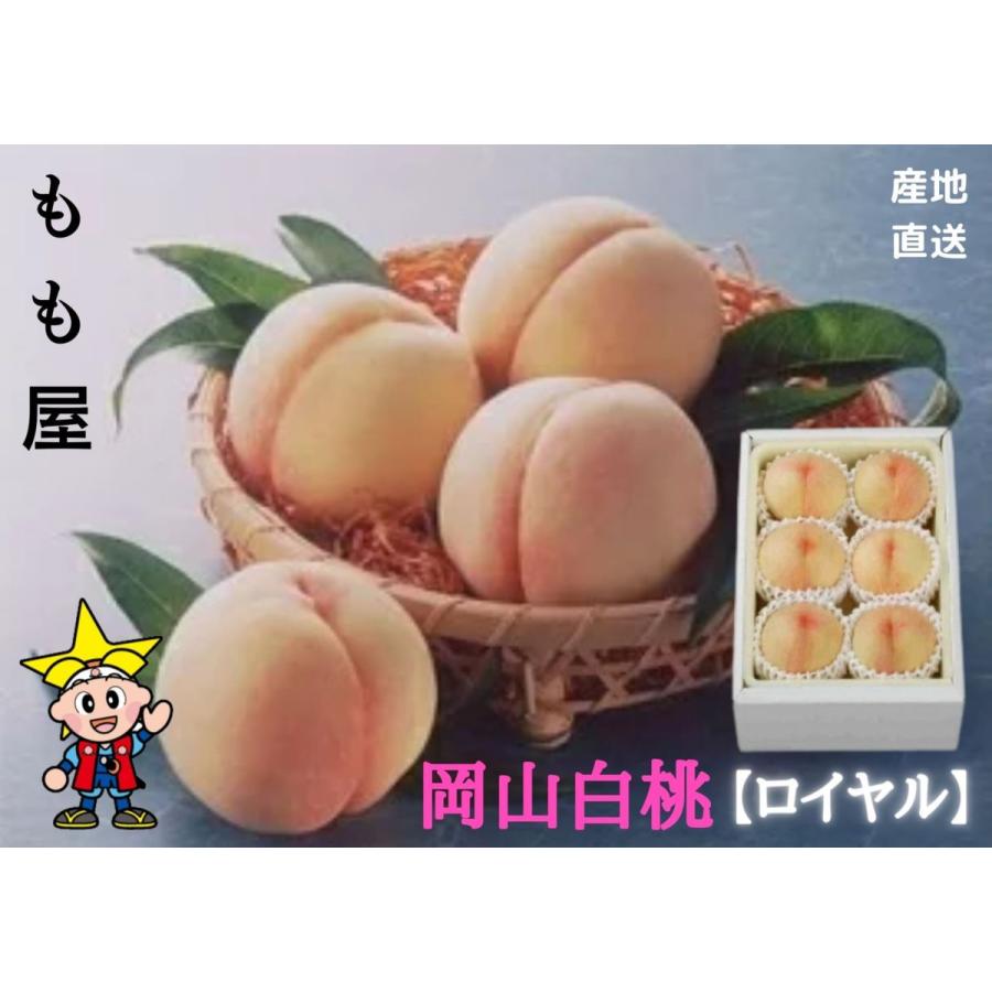 産直品 岡山白桃 【ロイヤル】 4〜6個 （約1.4kg） 糖度12度以上