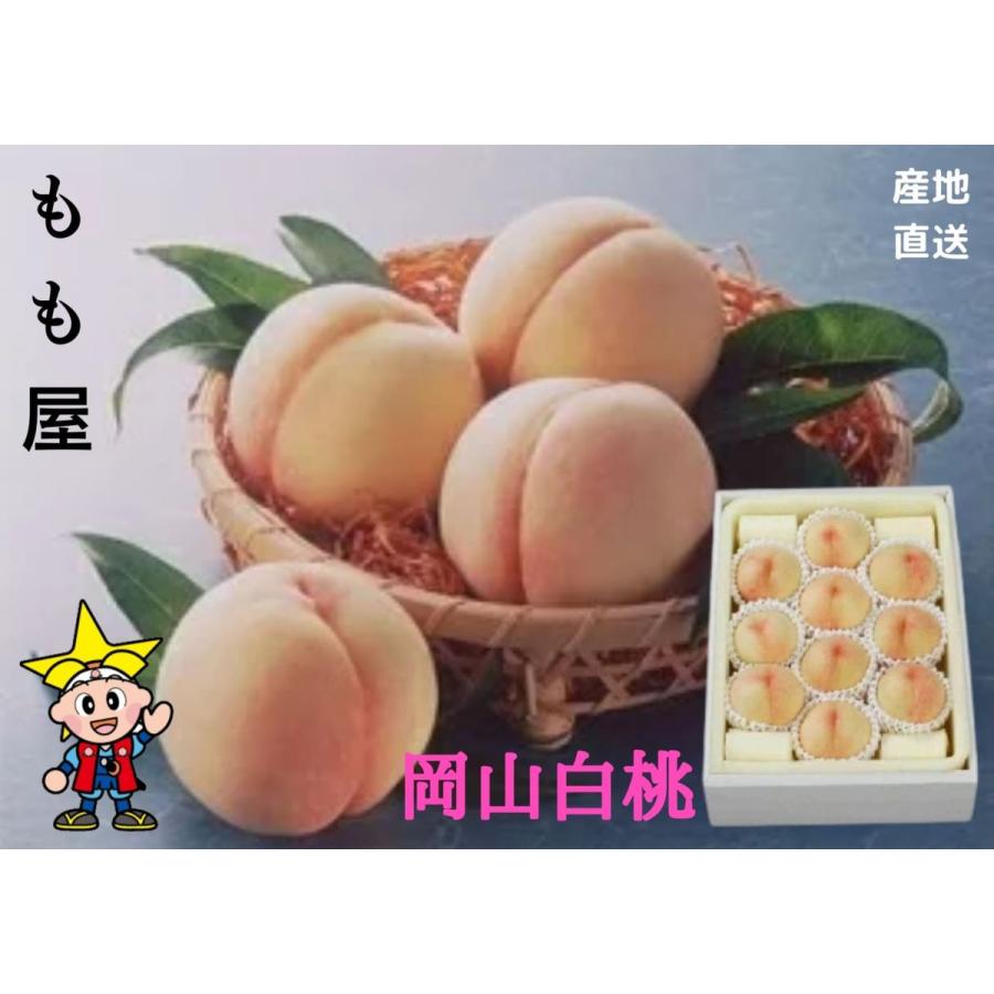 ★予約販売★岡山白桃 9〜12個 （約2.7kg) 御礼 御祝 贈答用 ギフト 誕生日 内祝 御供 御中元【送料無料但し※別途北海道・沖縄￥1500】