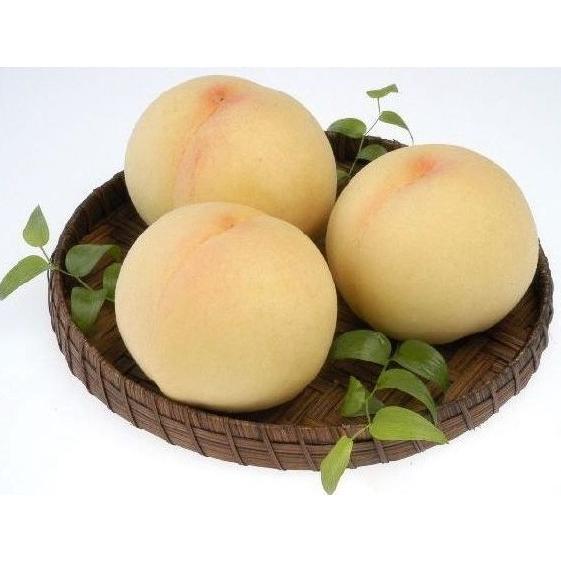 ★予約販売★ 岡山県産 究極・最高級の清水白桃 【スーパーロイヤル】 5〜6個 約1.4kg 糖度13度以上  御中元【送料無料但し※別途北海道・沖縄￥1500】の画像
