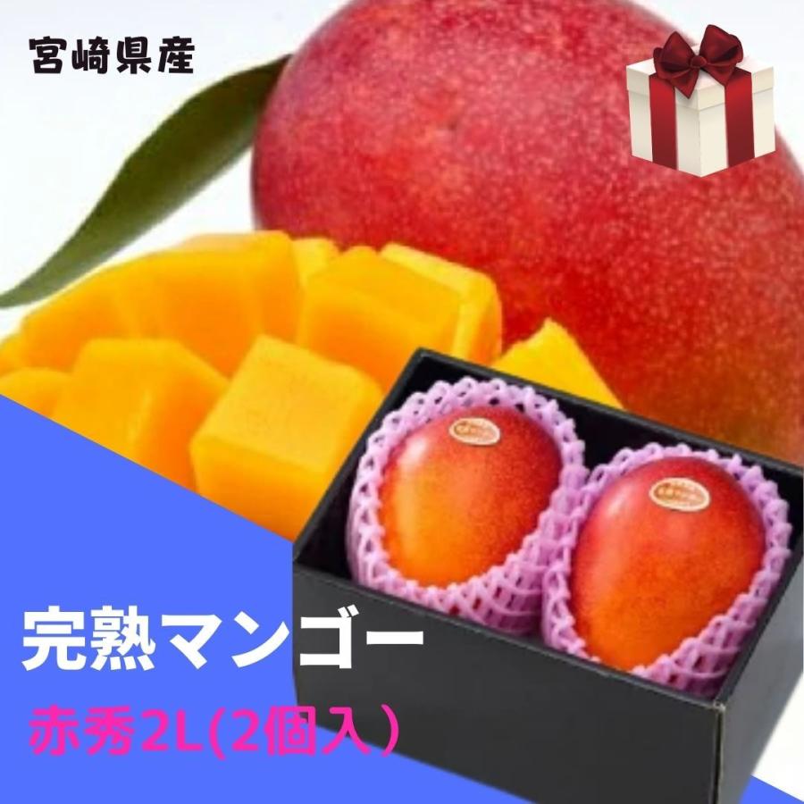 予約販売！完熟マンゴー 【赤秀】 2L(約350g以上×2個) 「情熱みやざき