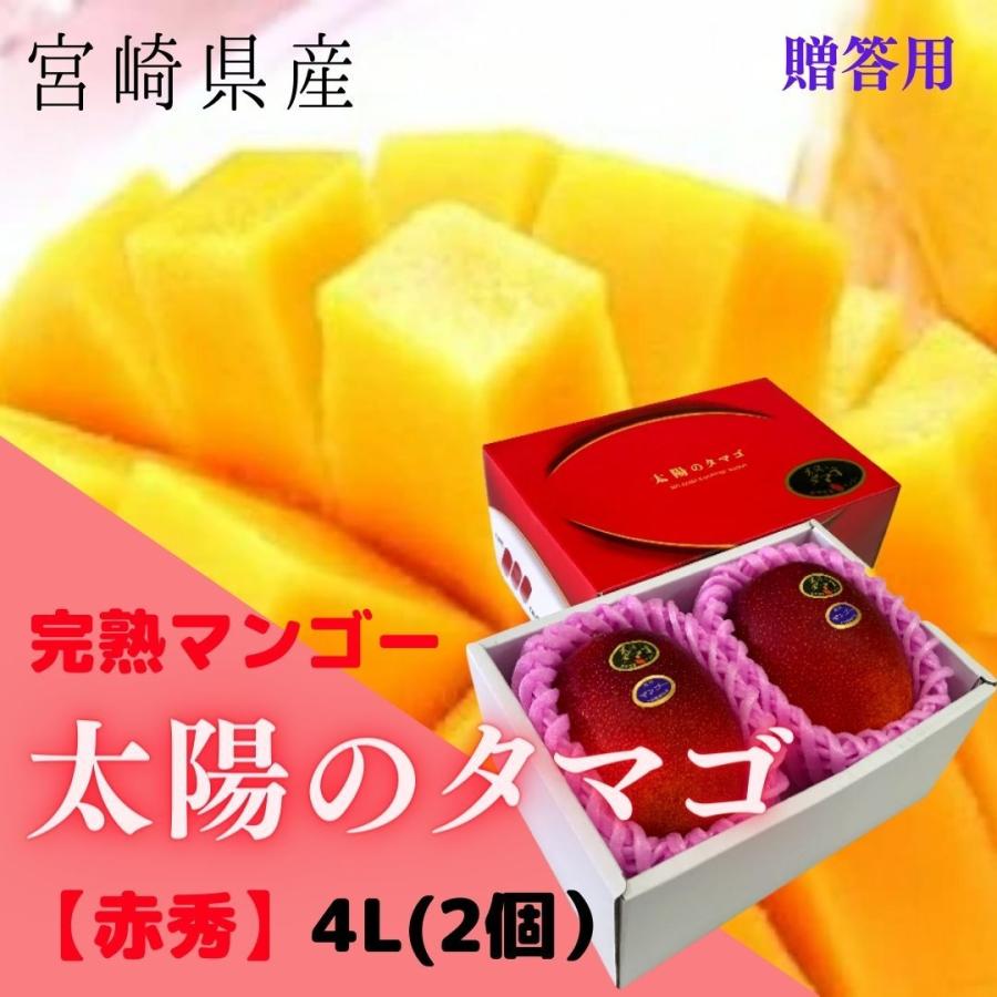 完熟マンゴー【太陽のタマゴ】 【赤品】 4Ｌ(約510ｇ以上×2個) (糖度15度以上) JA宮崎【送料無料※但し・北海道・沖縄別途￥1500】