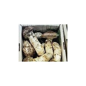 岡山県産マツタケ （ つぼみ・中つぼ） 400g
