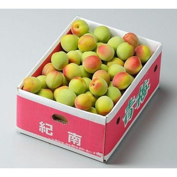 予約販売！紀州 南高梅 （青梅）【秀品】 2Lサイズ 約5kg 和歌山県産※梅の箱が写真と異なる事があります。【送料無料※但し北海道・沖縄　別途￥１５００】