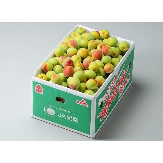 紀州南高梅 秀品 2Lサイズ 10kg 和歌山県産 JA紀州 みなべの南高梅 2Lサイズ 10キロ 梅 梅干 梅干し