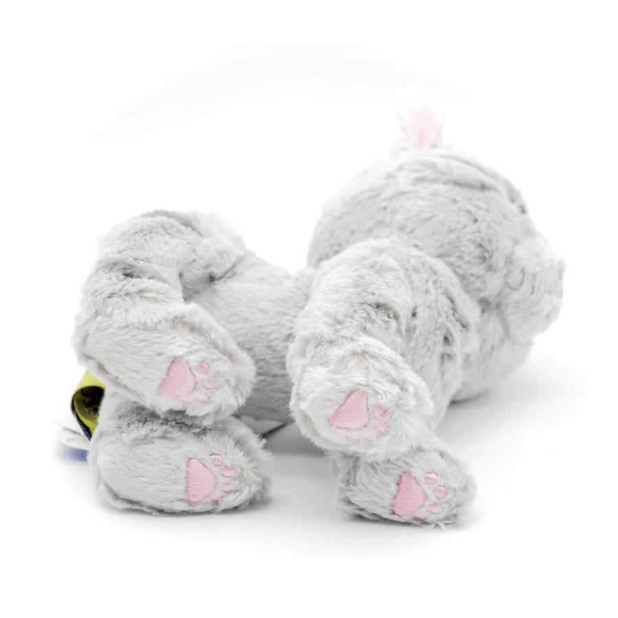 キトン S アメリカンショートヘア グレー ぬいぐるみ GY 動物 猫 キトン S アメリカンショートヘア グレー ぬいぐるみ GY 動物 猫