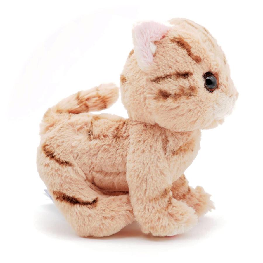 キトンS アメリカンショートヘア BR ぬいぐるみ 犬猫 動物