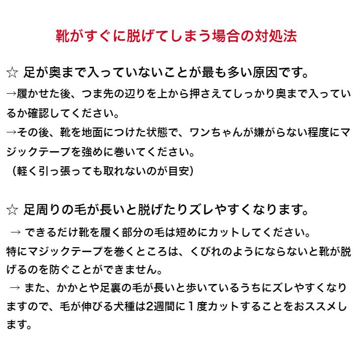 【大人気につき再入荷！】長靴タイプの防水雨靴★しっかりとしたゴム底仕様♪雨散歩汚れケガ虫刺され防止足裏保護滑り止め小型犬用靴4個セット｜momozetto-y｜10