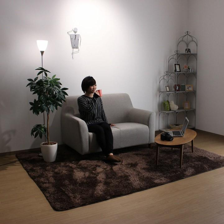 ソファ ソファー 二人掛け 2人掛け 2P ファブリック 布 Anna : モーム