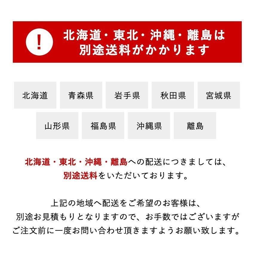 宮、照明、コンセント付きフロアベッド【フロース-FLOS-（シングル