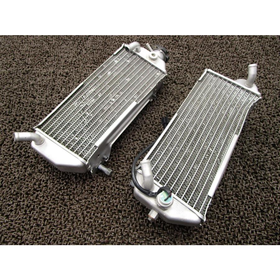 掛け軸 文化勲章受章 橋本明治「果物」 橋本明治 | ｜正光画廊