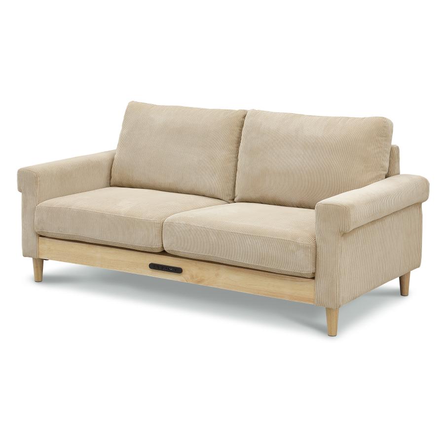 送料無料 二人掛け 三人掛け ソファ コーデュロイ USB ランド