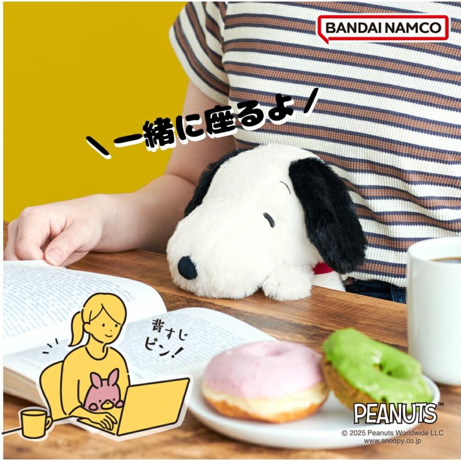 猫背 姿勢 矯正 サポート ふんばるず ピーナッツ 姿勢改善 ボディー