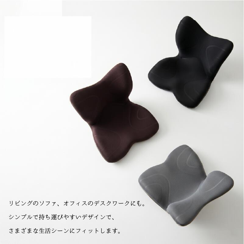 姿勢ケアシート MTG Style PREMIUM スタイル プレミアム 骨盤矯正 姿勢