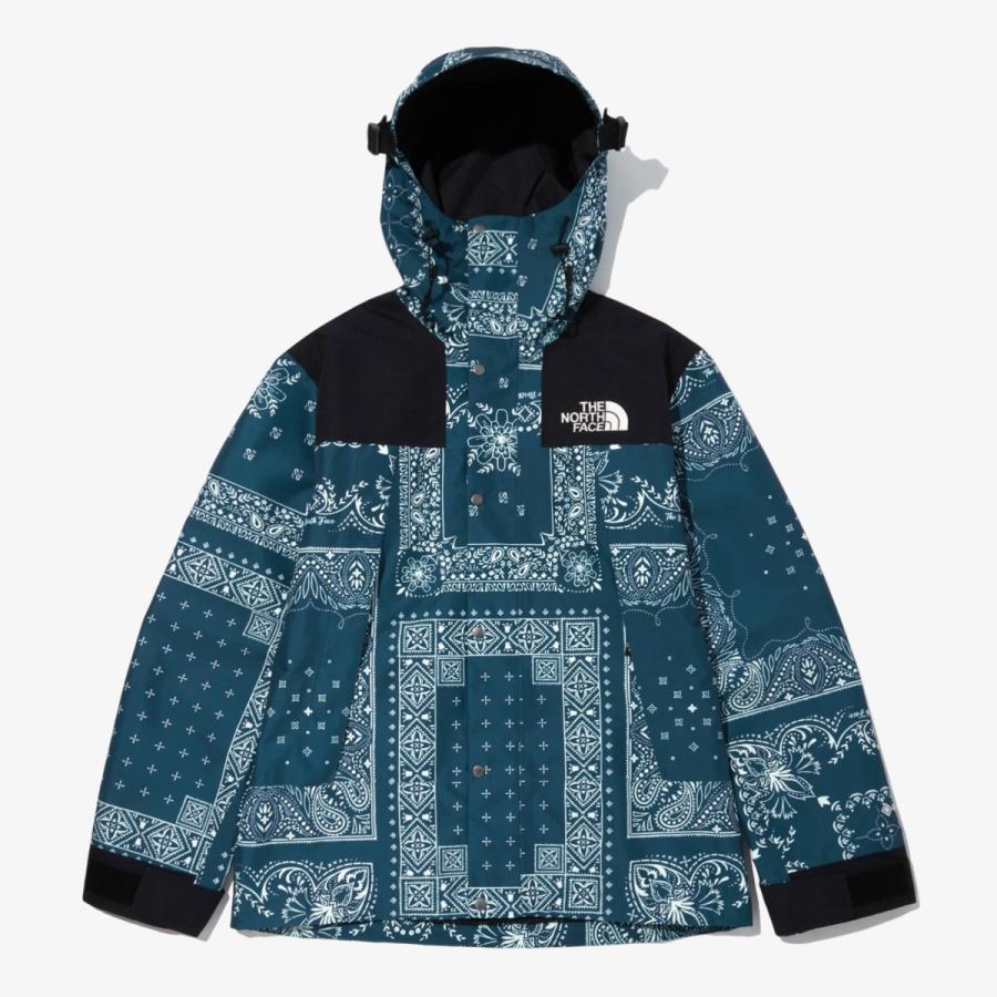 ザ ノースフェイス マウンテン ジャケット THE NORTH FACE NOVELTY GTX MOUNTAIN JACKET ノベルティ ゴアテックス バンダナ｜monarosetta｜02