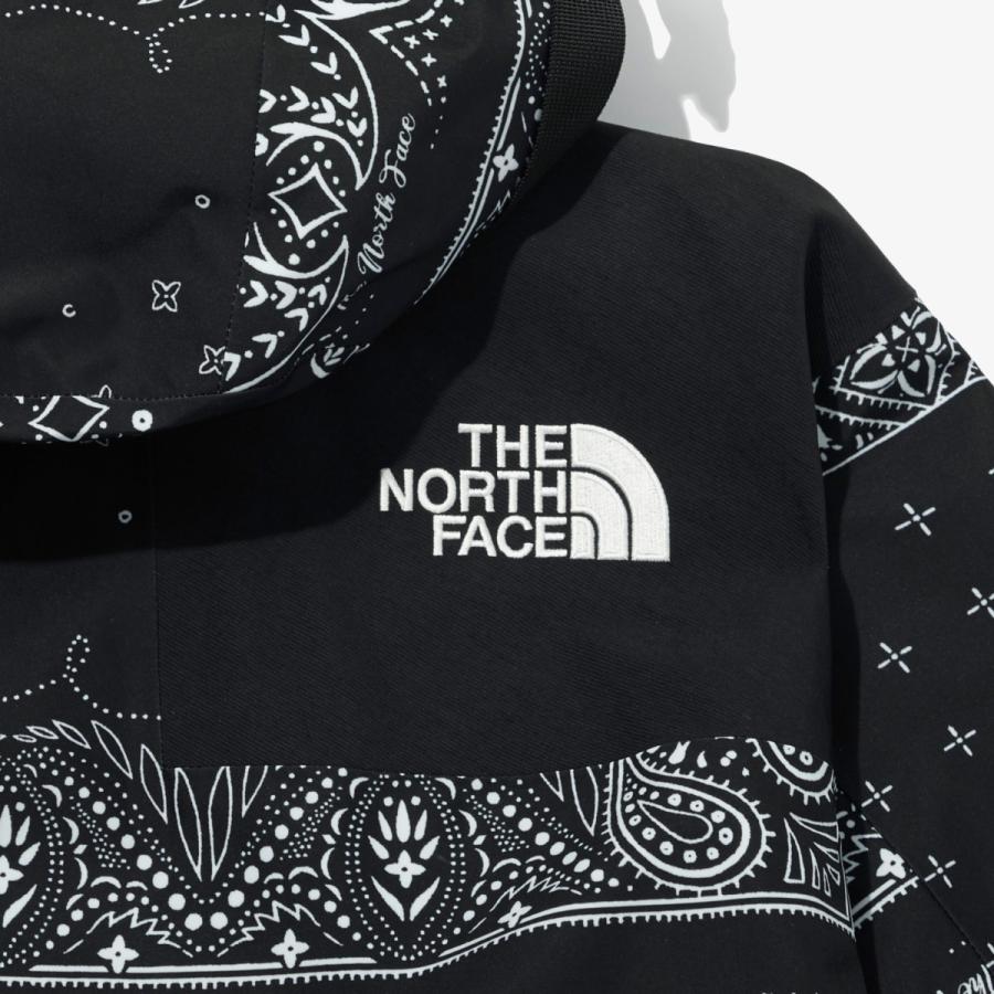 ザ ノースフェイス マウンテン ジャケット THE NORTH FACE NOVELTY GTX MOUNTAIN JACKET ノベルティ ゴアテックス バンダナ｜monarosetta｜16