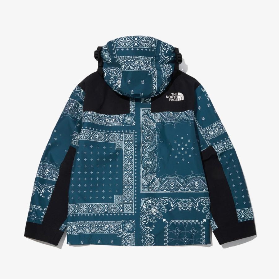 ザ ノースフェイス マウンテン ジャケット THE NORTH FACE NOVELTY GTX MOUNTAIN JACKET ノベルティ ゴアテックス バンダナ｜monarosetta｜04